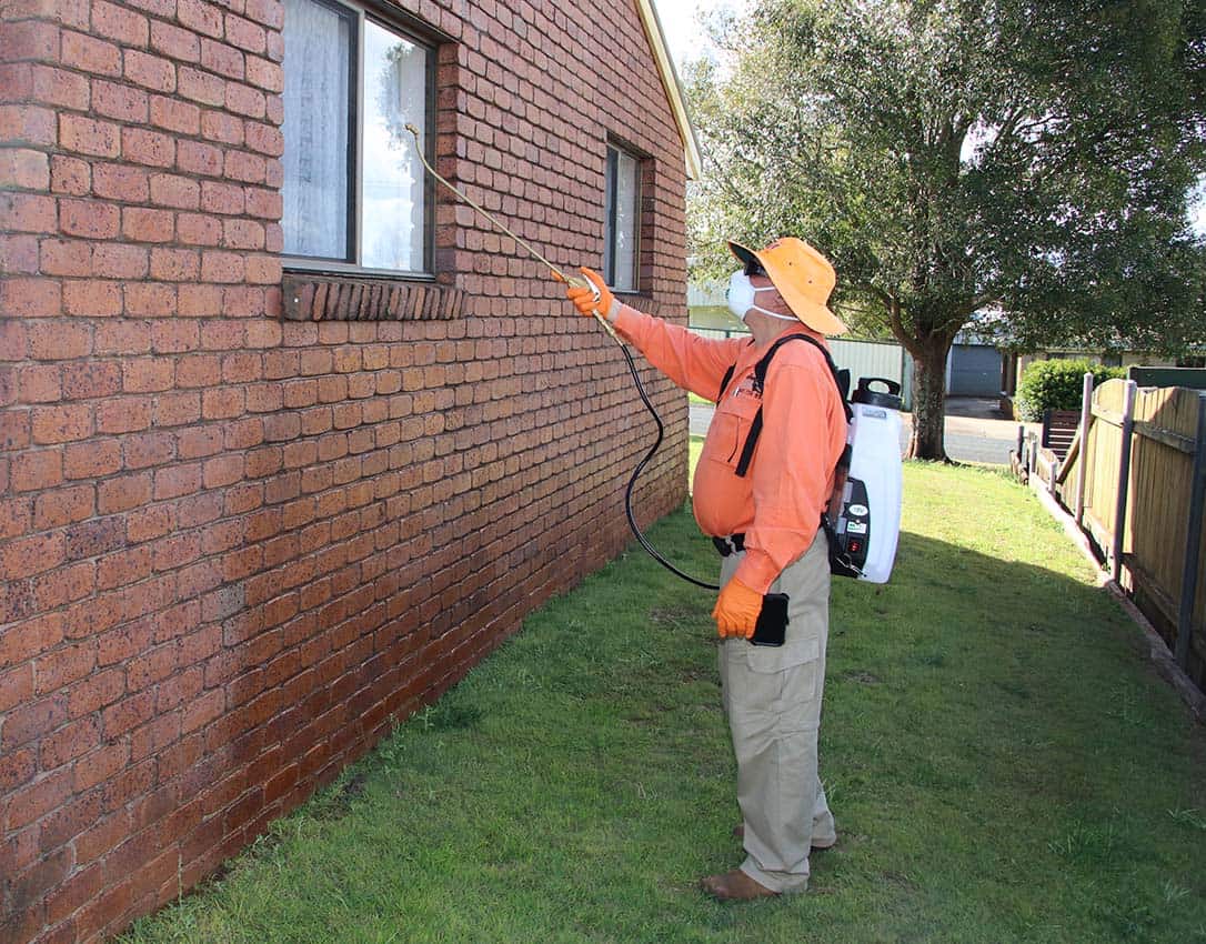 Pest Control Toowoomba King Arthur Spraying home